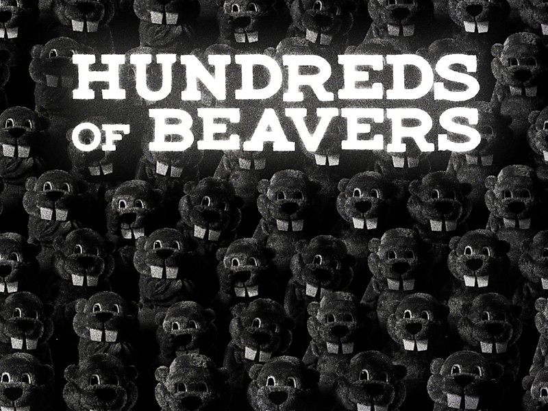 Hundreds of beavers box2